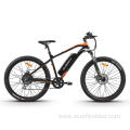 XY-Sportsman eMTB with stable performance